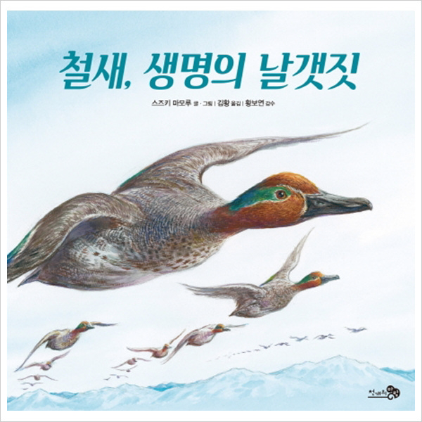 철새생명의 날갯짓 (바람그림책 70)(양장)