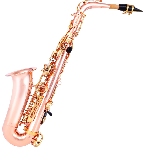 [강세] 박그 konsburg 삭스 (삭스)