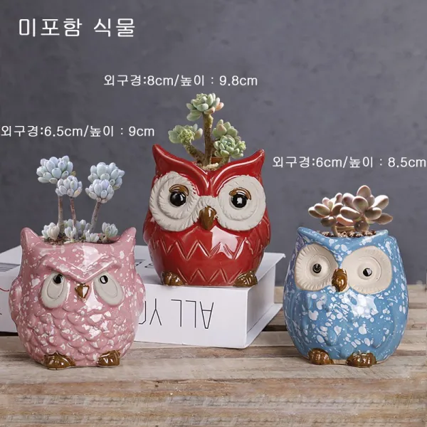 Siteng캐릭터 돼지부엉이다육이 화분 세트D0609활동하다증정미니원예 공구 3종 세트, 사진 색상21+미니원예 공구 3종 세트