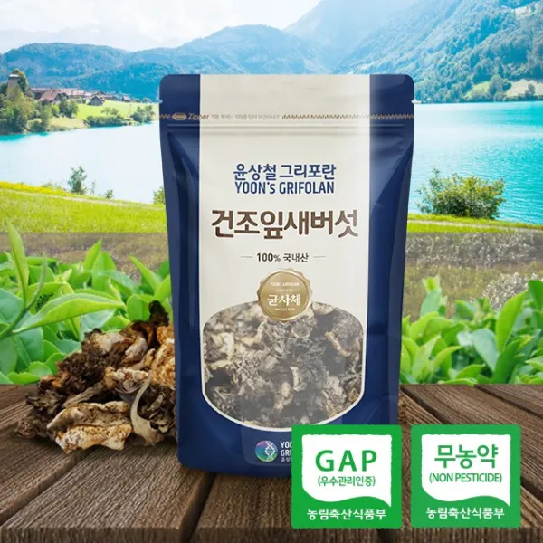 윤상철그리포란 최상급 건조 잎새버섯 균사체 100g 베타글루칸8배 1개