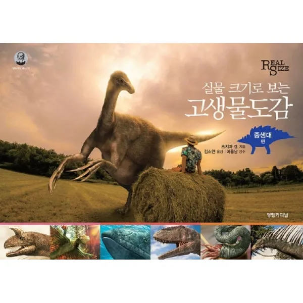 실물 크기로 보는 고생물도감: 중생대편, 영림카디널