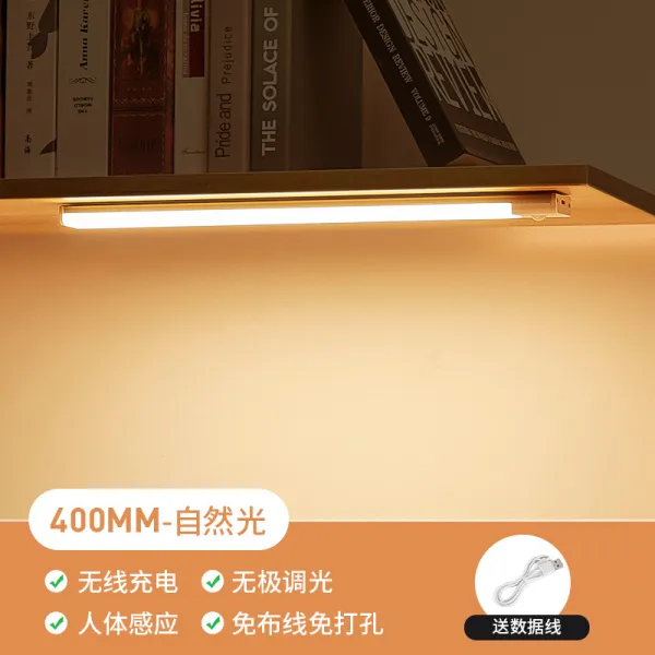 Mar.26 61번 스마트 인체감지 LED 무연등 충전식 무삽전 복도 야광 밤 벽등 자동 점등Z, 4_40cm 자연광 [상 광 + 인체 감응 + 무극 조