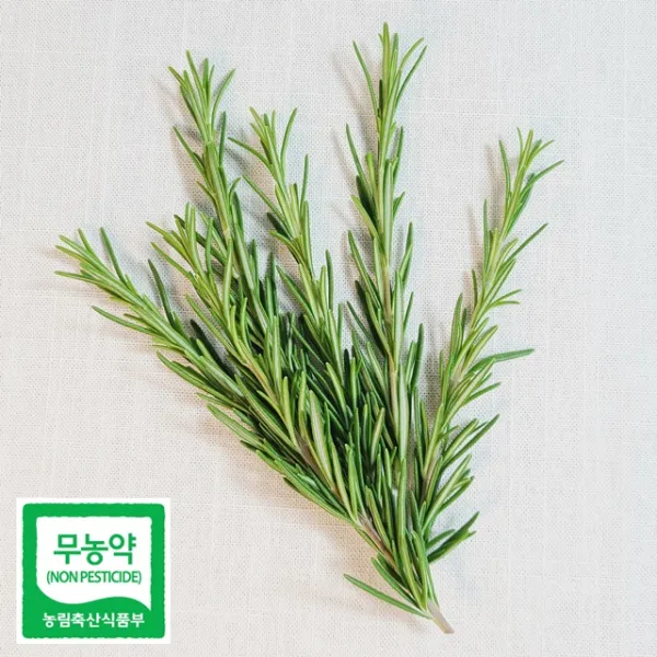 데코용로즈마리 생잎 허브 가니쉬 로즈마리 (짧은길이)50g~, 50g