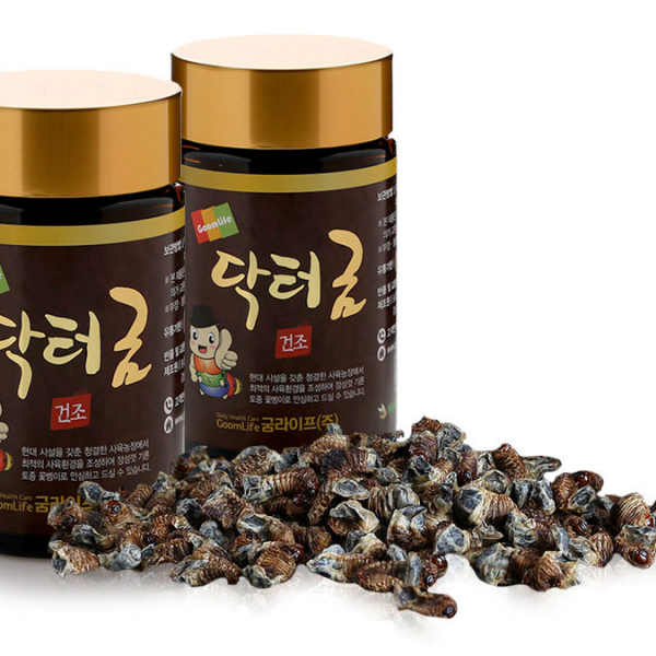 굼벵이 항체를 형성하고 면역성을 높이는 닥터굼 건조 60g, 1개, 60g/