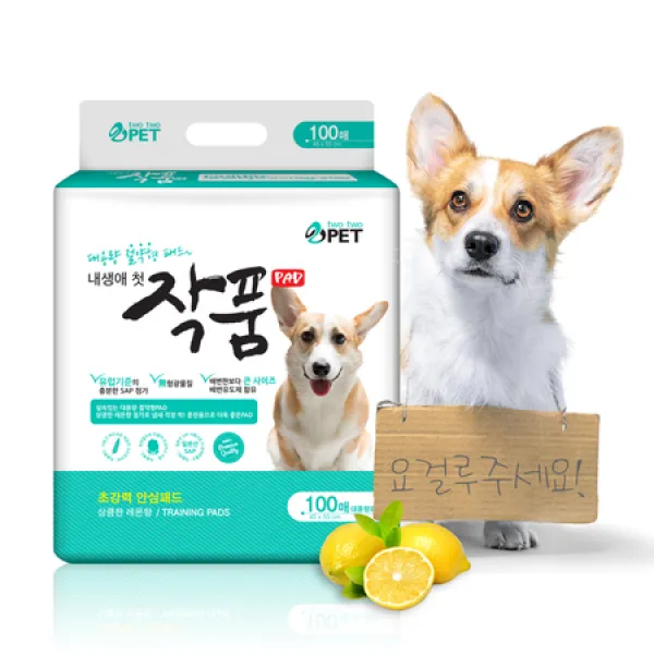 [멸치쇼핑]내생애 첫 작품 대용량패드 100매