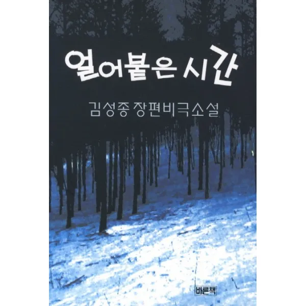 얼어붙은 시간:김성종 장편비극소설, 바른책