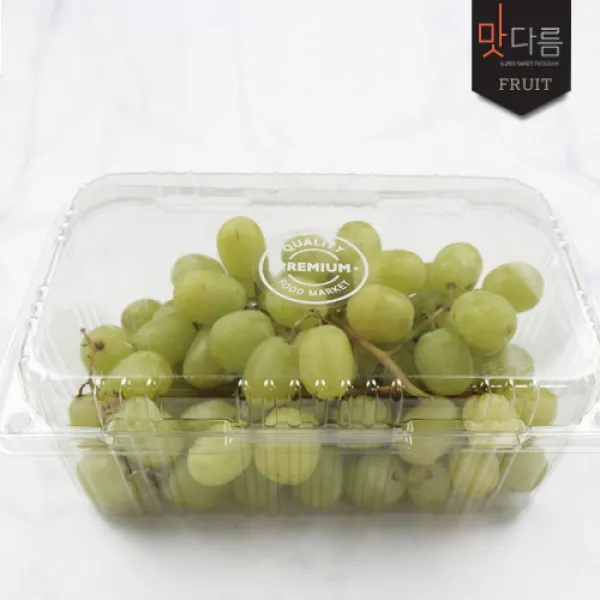  맛다름 미국 아삭아삭 애플청포도 500g내외 *2팩 2팩