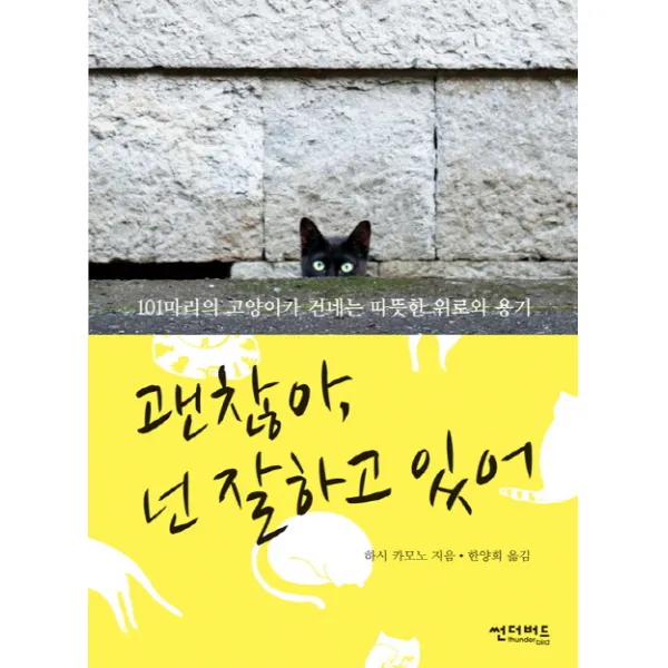 괜찮아, 넌 잘하고 있어:101마리의 고양이가 건네는 따뜻한 위로와 용기, 썬더버드