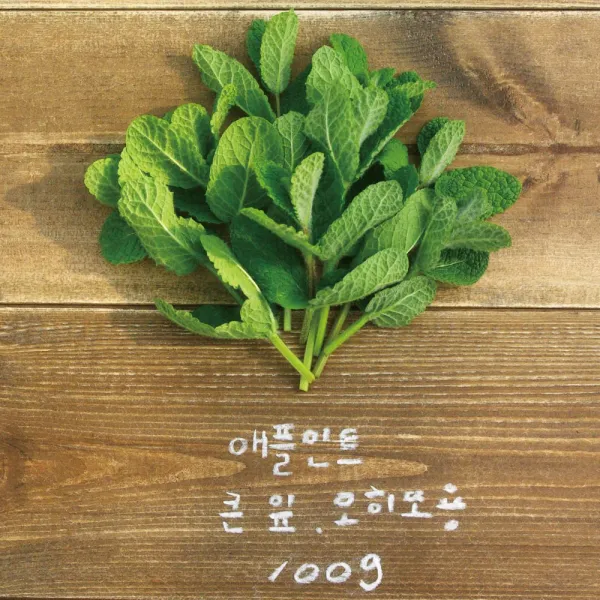 유기농 애플민트 생잎 큰 잎 100g/모히또용 1봉
