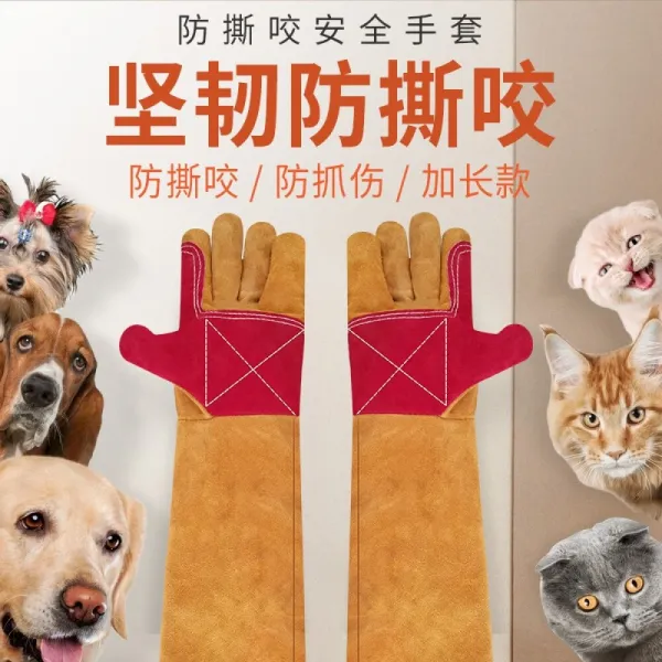 bangong 물어뜯다 장갑 개 훈련 고양이 약 을 먹이다 동물 훈계 하 다 를 길 게 두 껍 신기 잡다 코브라 햄스터 쥐 보호 노동, 상세페이지 참조