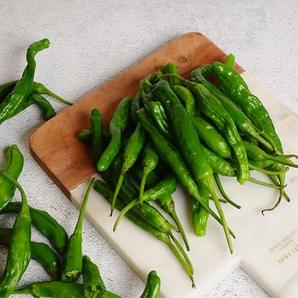 누리원 장조림만들 때 넣으면 맛있는 싱싱한 꽈리 고추 500g 1kg 2kg