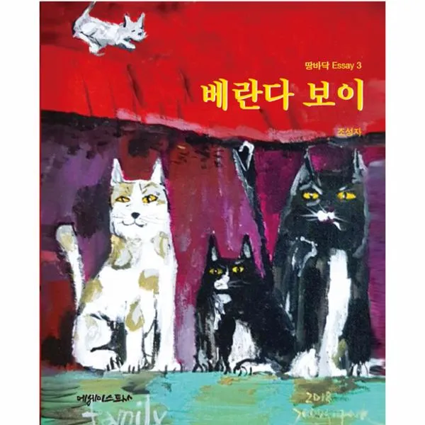 베란다 보이 -3 (땅바닥 Essay)