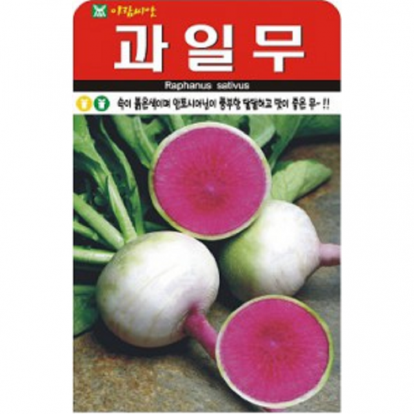 수박무(가정원예용) 과일무씨앗(100립)(A0238)
