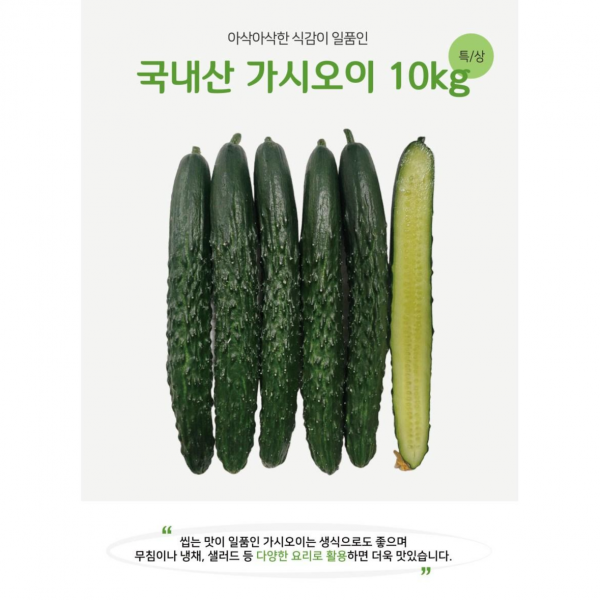 해돋이농산 국내산 못난이 가시오이 10KG