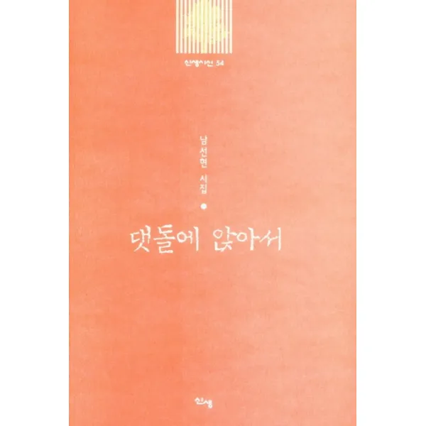 댓돌에 앉아서:남선현 시집, 댓돌에 앉아서(신생시선 54), 남선현(저),신생, 신생