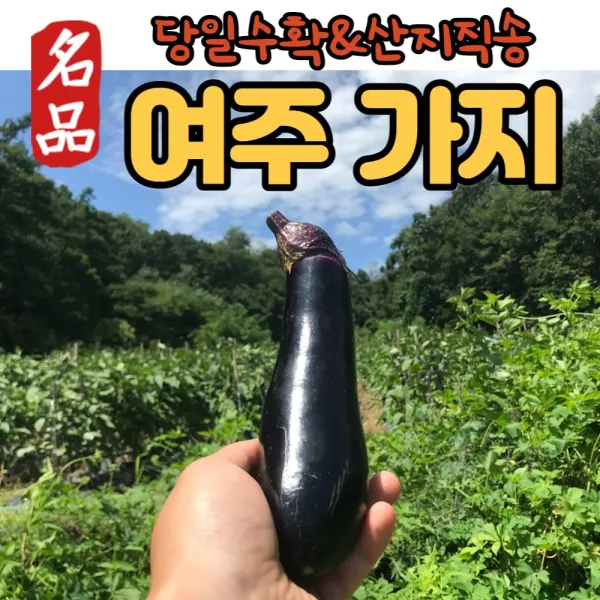 최상품 국내산 여주가지 금보라 못난이 싱싱한 생가지 햇가지 가지 특품 한박스 산지직송 400g 3kg 8kg