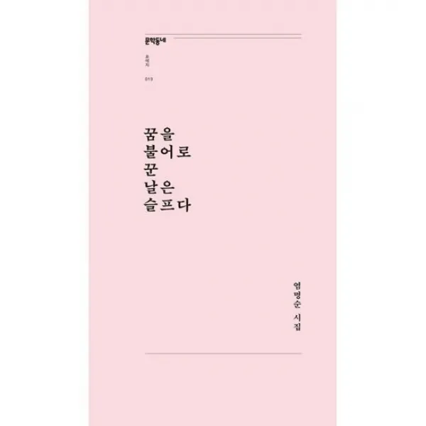 꿈을 불어로 꾼 날은 슬프다