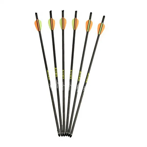 SAS Troy Crossbow Carbon Bolts 20” Arrows with Points and 2” Vanes - 6/Pack SAS Troy 석궁 카본 볼트 20 ”화살, 1