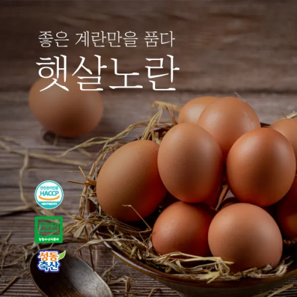 [햇살노란] 생계란 구운계란 무항생제인증 친환경 HACCP 식품안전관리인증 계란 30구, 생계란 특란 30구
