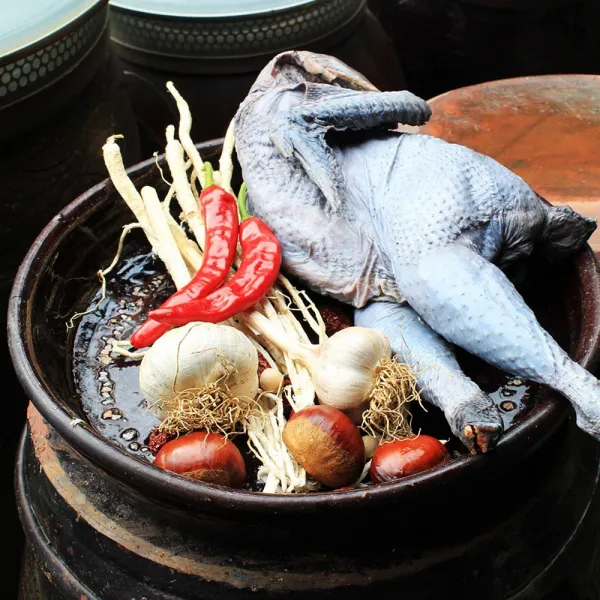 천안 삼계탕용 오골계 1마리 500g, 1개