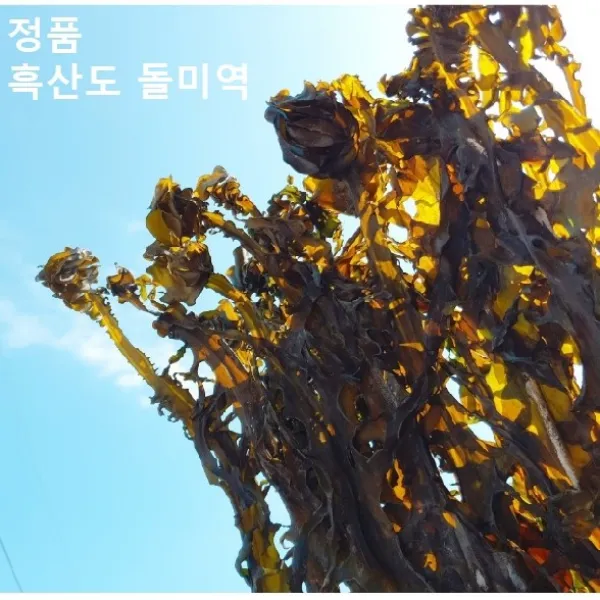 극한직업 흑산도 자연산 돌미역, 흑산도갯바위미역 산모미역, 2개, 140g이상