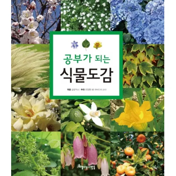 공부가 되는 식물도감, 아름다운사람들