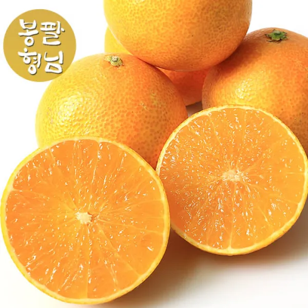 봉팔형님 햇 황금향, 1box, 황금향 2kg 로얄과(6~9과) 선물용