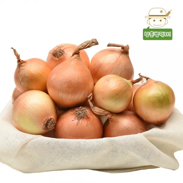 삼촌밥먹자 무안직송 황토 무안 양파 중 2kg3kg5kg10kg 5kg