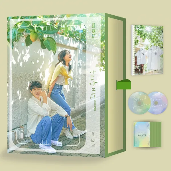 그 해 우리는 OST 노래 굿즈 드라마 앨범 그해 우리는 뷔 크리스마스트리 장범준 비비 Our Beloved Summer OST Album (BTS V BB), 포스터받지않음