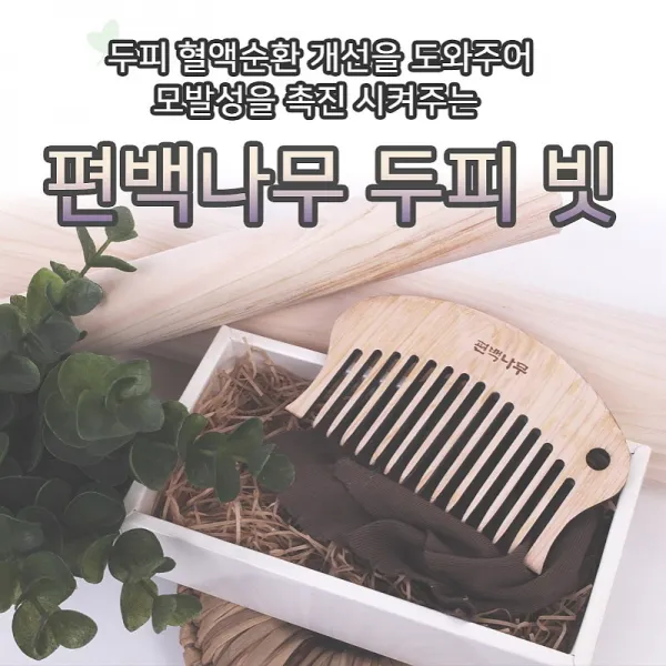 (편백나무) 순수편백나무 두피마사지 빗 괄사 편백나무/머리빗/두피마사지기/괄사/참빗, 1