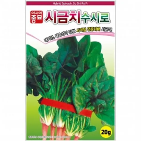 (시금치종자씨앗) 수시로시금치(20g)