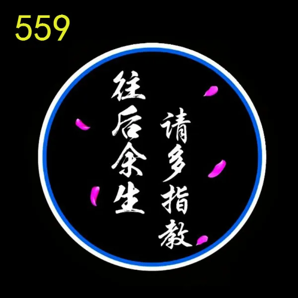 레이서스 영빈등 원위치 차문등 eseses300rx350rx270lxgx, 뒤559번두개 등송전