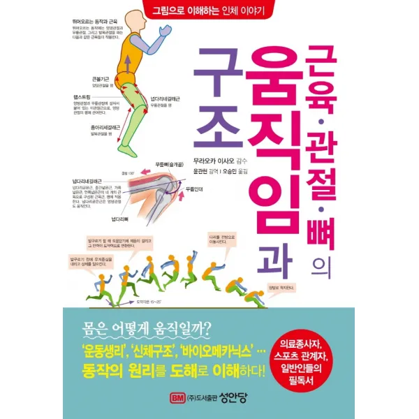 근육·관절·뼈의 움직임과 구조:의료종사자, 스포츠 관계자, 일반인들의 필독서, 성안당, 무라오카 이사오
