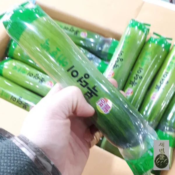 새벽들 애호박(2개 5kg), 1봉, 2개