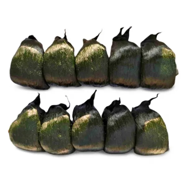 웰메이드 남해안 고흥 원조 찰매생이 박스, 10입, 350g~400g