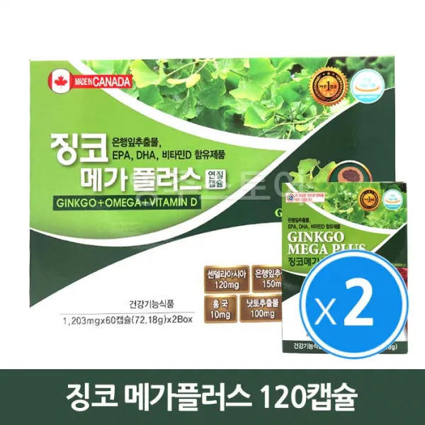 징코 메가플러스 120캡슐 (기억력 감퇴) x2개