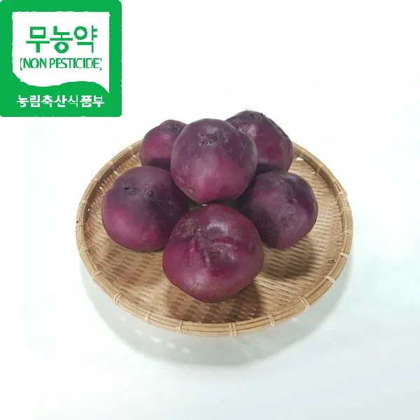 [산세로]친환경 비트 1kg, 1개