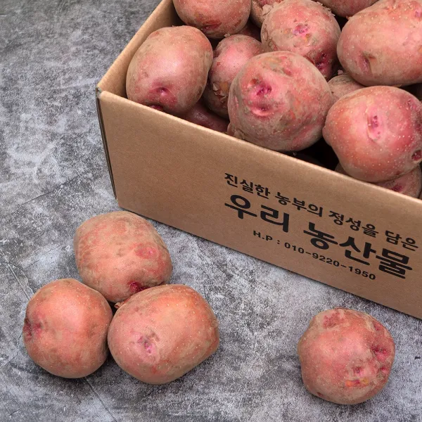 직거래농민장터 포슬포슬 카스테라 햇 홍감자 빨간감자 3kg 5kg 10kg, 홍감자 3kg 중(통구이용)