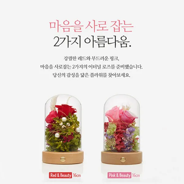 비솜 이터널로즈 플라워 무드등4종, Red&beauty 16cm