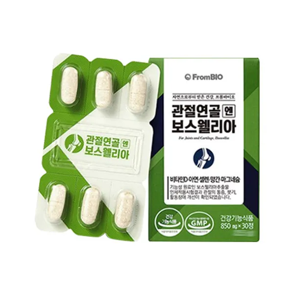 프롬바이오 이병헌의 관절연골엔 보스웰리아+매스티나 샘플증정, 6개월, 60정, 850mg