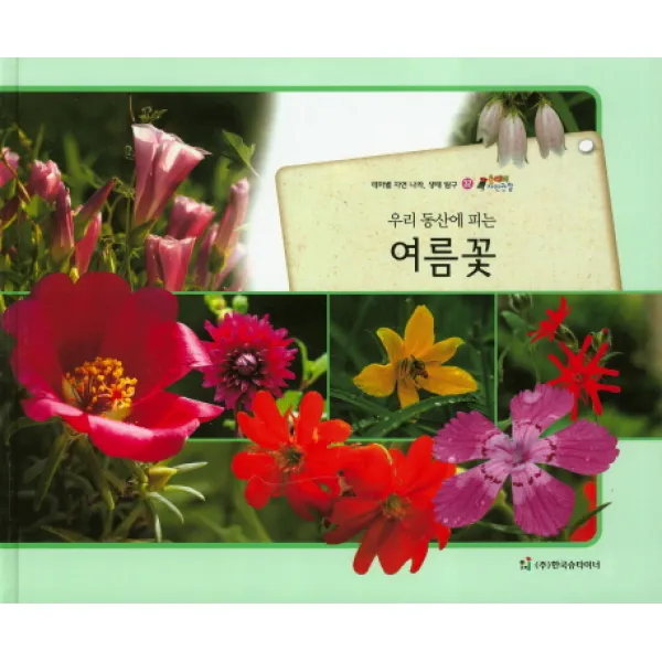 우리 동산에 피는 여름꽃:테마별 자연 나라 생태 탐구, 한국슈타이너