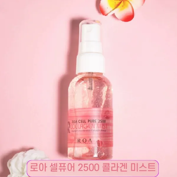 초순도 쫀쫀한 발효 콜라겐 딮 보습막 미스트 50ml 집 좋은원료 회사 영양, 1개