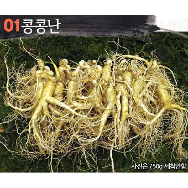 삼키우는마을 고려수삼 세척 무세척 수삼 가정용, 01.콩콩파삼750g-무료세척