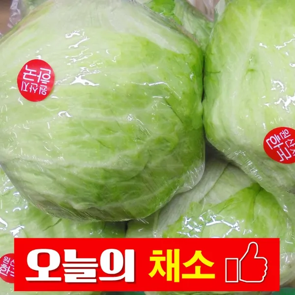 바른채소 양상추 1통 300내외 신선함을 그대로 가락시장 가락몰 직배송 시스템