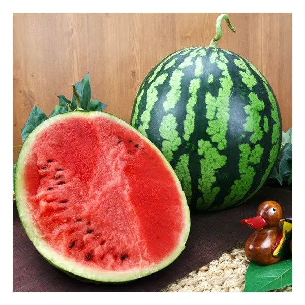 [과일천하] 달고 시원한 수박 1통/5-6kg 내외, 상세 설명 참조
