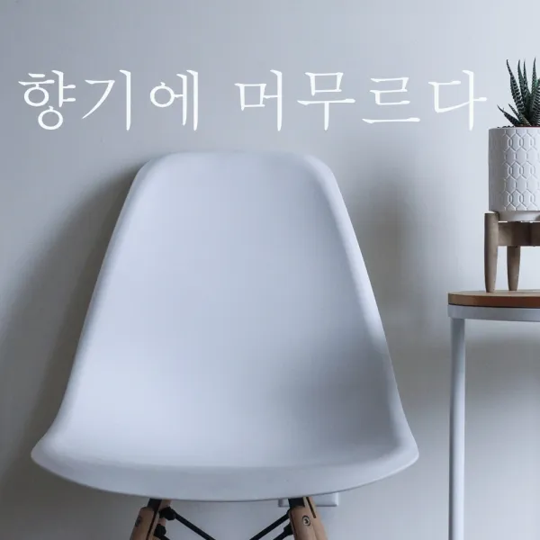 단비데코 감성레터링 스티커 감성문구 응원 명언 현관문 포인트스티커, L-11향기에머무르다-화이트