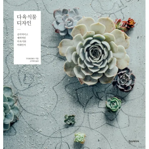다육식물 디자인:감각적이고 매력적인 다육식물 어레인지, 한스미디어