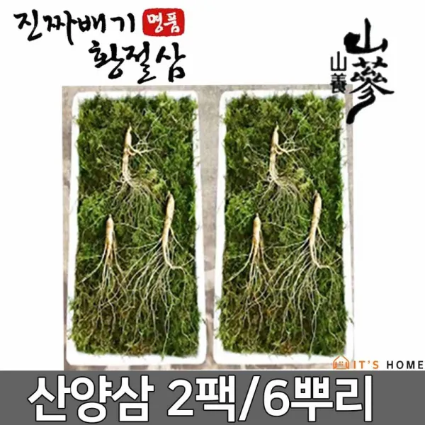 진짜배기 강원도 명품 황절삼토종 산양삼 5년근 이상, 2팩, 6뿌리