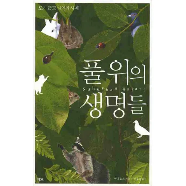 도시 근교 자연의 사계 풀 위의 생명들, 지호