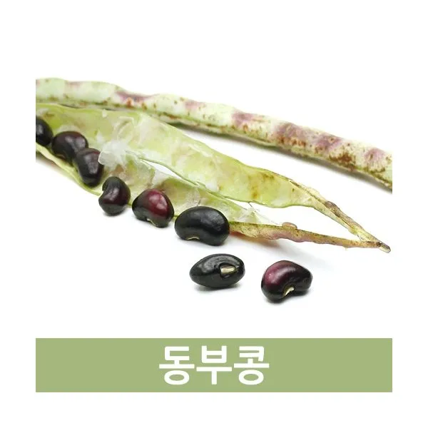 두리반농산 햇동부콩(500g x2) 1kg내외, 1개입, 500g x 2